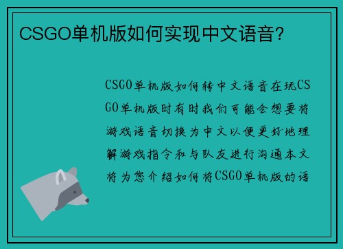 CSGO单机版如何实现中文语音？